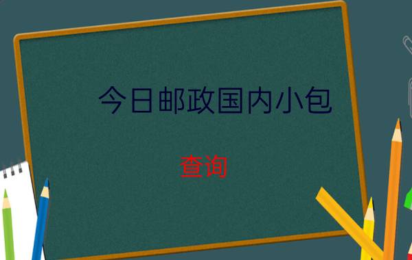 今日邮政国内小包 查询（国内邮政小包查询）